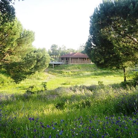 Coudelaria Vale Pau Villa Coruche Exterior photo